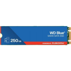 Western Digital SSD drive Blue 250GB SA510 M.2 2280 WDS250G3B0B