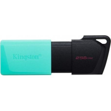 Kingston Pendrive Data Traveler Exodia M 256GB USB3.2 Gen1