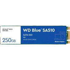 Western Digital SSD drive Blue 250GB SA510 M.2 2280 WDS250G3B0B