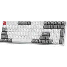 Royal Kludge RK100 White-Grey, Red Switch, US