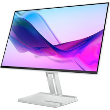 Lenovo Monitor Lenovo L24i-4A (67BCKAC6EU)
