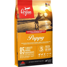 Orijen Puppy - dry dog food - 11,4kg