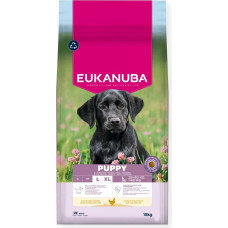 Eukanuba Puppy L XL Rich in chicken - dry dog food - 15kg