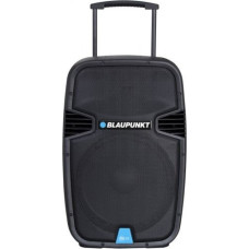 Blaupunkt Audio system PA15 PLL Karaoke