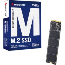 Biostar SSD Biostar M760 256GB