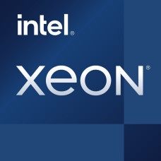 Intel Procesor serwerowy Intel Xeon E-2378G, 2.8 GHz, 16 MB, OEM (CM8070804494916)
