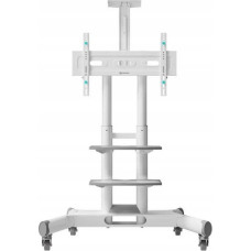 Noname TV SET ACC MOBILE STAND/40-70''/WHITE TS1552-W ONKRON TS1552-W (4603728441016)