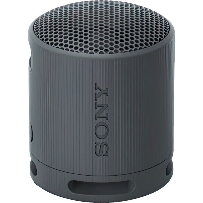 Sony SRS-XB100 Czarny